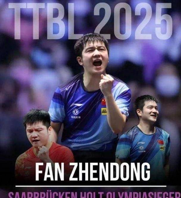 务实！樊振东谈回归，先打好德甲再沟通后续